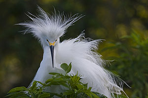 Timucuan Trail Waterway Guide
