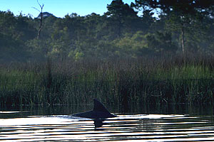 Timucuan Trail Waterway Guide