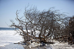 Timucuan Trail Waterway Guide