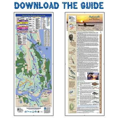 Timucuan Trail Waterway Guide
